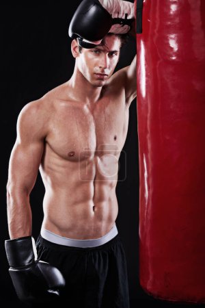 Photo for Boxer, training and portrait of man in studio with punching bag for workout, exercise or fight competition with dark background. Gloves, boxing and male athlete for confident, martial arts or fitness. - Royalty Free Image