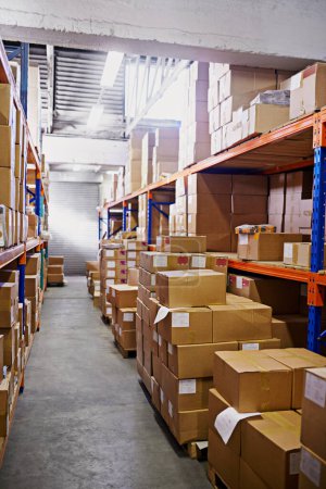 Photo for Warehouse, boxes and industry with distribution, storage and inventory with shelves and service. Import, export and cardboard with package or manufacturing with cargo, backlog or parcel with supplier. - Royalty Free Image