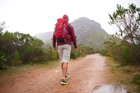 Photo for Hiking, nature and man back with backpack, travel and adventure outdoor on mountain path with plants. Journey, fitness and walking with camping gear and bag for exercise and explorer with training. - Royalty Free Image