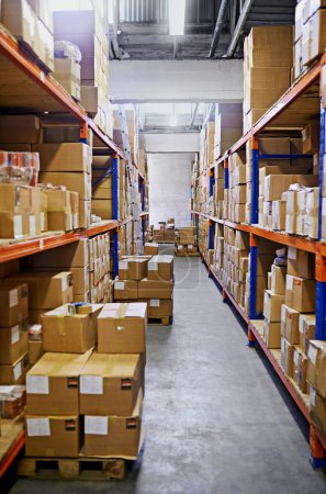 Lager, Regal und Schachteln mit Lagerung, Verteilung und Import mit Export für Produkte und Versand. Leergut, Verpackung oder Inventar mit Fracht und Fertigung mit Industrie, Dienstleistung oder Lieferkette.
