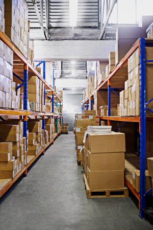 Photo for Warehouse, shelf and boxes with storage, supply chain and import with export for products and shipping. Stock, package or inventory with cargo and manufacturing with industry, service or distribution. - Royalty Free Image