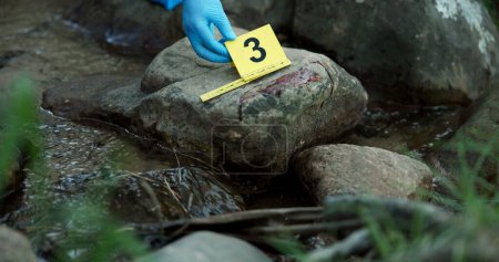 Hands, evidence marker and forensic for investigation at crime scene with blood on rocks or gloves for safety in river. Csi expert, investigator and case research with observation by water stream.