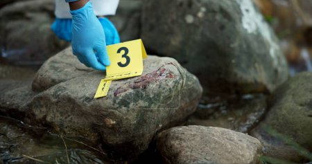 Photo for Hands, evidence marker and csi for investigation at crime scene with blood on rocks or gloves for safety in river. Forensic expert, investigator and case research with observation by water stream. - Royalty Free Image