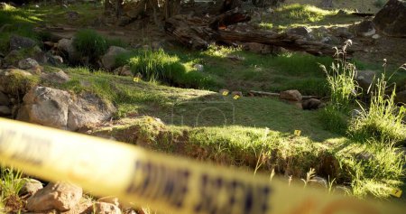 Crime scene, outdoor and forest for investigation, police and forensic background with yellow tape and lens flare. Security, inspection and search for clues or sample in woods or nature by rocks.