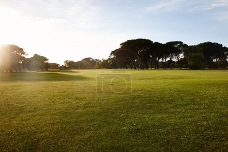 Téléchargez les photos : Herbe, ciel bleu et arbres sur le terrain de golf avec coucher de soleil, nuages et paysage naturel dans le parc d'été. Nature, vert et champ avec forêt au club de sport avec environnement durable au soleil du soir. - en image libre de droit