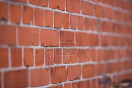 Photo for Brick wall, closeup or focus with blur or strong for house, construction with concrete and mortar. Texture, background or zoom with center and haze for building, pattern or architecture or stone. - Royalty Free Image