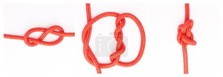 Photo for Tools, steps or how to tie knot on white background in studio for security or safety instruction. Material, ropes and color design for cords technique, guide or learning for survival cable lesson. - Royalty Free Image