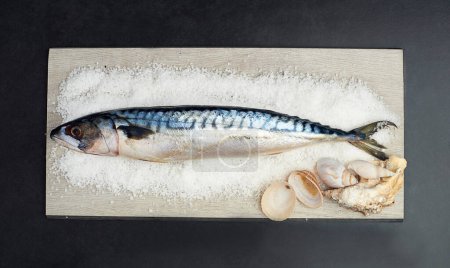 Photo for Fish, sea salt and shells on chopping board for frying, cooking or baking healthy, fresh and high protein food. Ingredients, kitchen and seasoning for eating balanced diet, gourmet supper or dinner. - Royalty Free Image