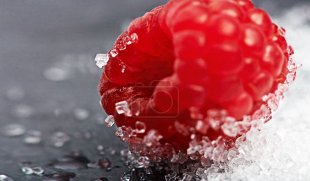 Photo for Closeup, health or raspberry on sugar in kitchen of home on counter for diet, natural vitamin c or nutrition. Vegan, background or fruit on sweet surface in apartment or house for detox or minerals. - Royalty Free Image