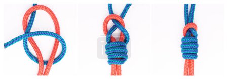 Photo for Guide, steps or how to tie knot on white background in studio for security or safety instruction. Material, ropes and color design for cords technique, tools or learning for survival cable lesson. - Royalty Free Image