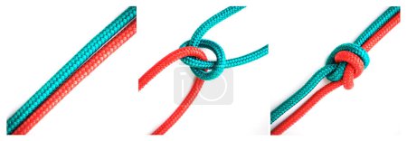 Photo for Knot, safety or how to tie ropes on white background in studio for security or instruction steps frame. Material, cords or color design for technique, banner or learning for survival guide lesson. - Royalty Free Image