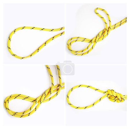 Photo for Knot, guide or how to tie ropes and material on white background in studio for security. Instruction frames, cords or design for learning technique, gear tools or safety for survival steps lesson. - Royalty Free Image
