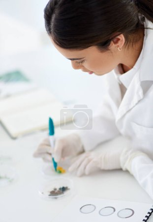 Photo for Research, writing and woman or scientist with pen to label petri dish for identification or analysis for tools. Person and marker in laboratory for innovation or study, experiment and breakthrough - Royalty Free Image