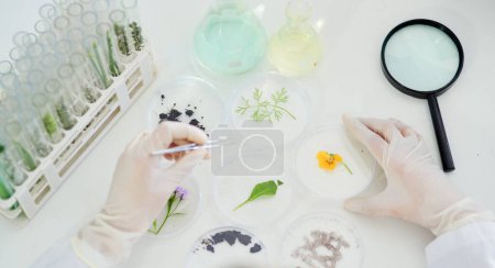 Foto de Lupa, plantas y manos de científicos en laboratorio estudiando flores para medicamentos naturales. Biotecnología, farmacéutica e investigadora trabajando con hojas para el descubrimiento de hierbas medicinales - Imagen libre de derechos
