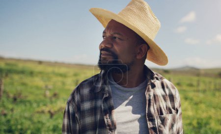 Téléchargez les photos : Homme noir, agriculteur et pensée avec chapeau sur le champ d'herbe pour l'agriculture, la durabilité ou la croissance naturelle dans les campagnes. Homme africain dans l'émerveillement ou la pensée pour un environnement respectueux de l'environnement à la ferme. - en image libre de droit