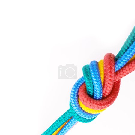 Photo for Colourful, rope and knot together in studio for tying with pride, unity and trust. Secure, rainbow and string for unique, security and stop movement of survival objects on isolated white background. - Royalty Free Image