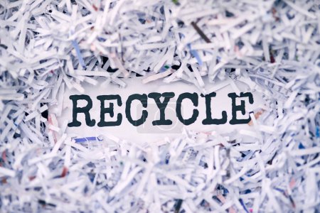 Shredding, documents and trash bin for recycle in studio or office disposal of confidential waste or paper. Letter or reports, private and top secret information, rubbish and closeup of evidence.