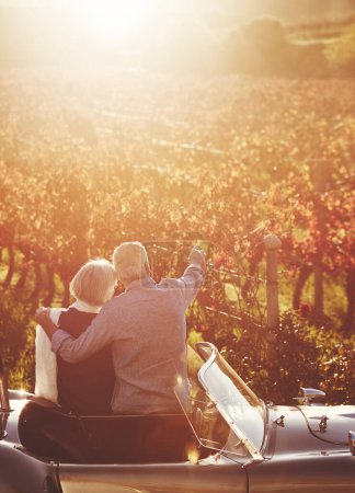 Photo for Romantic, senior couple and vintage car on vineyard for wine tasting, sharing view or memories together. Elderly man, mature woman and countryside sunset for celebration, farm date or retirement. - Royalty Free Image