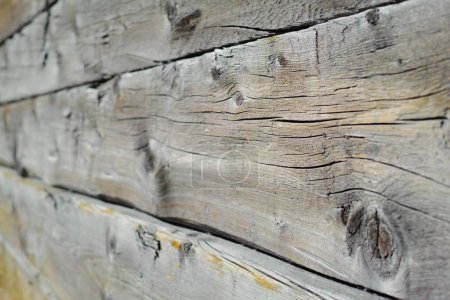 Photo for Wallpaper, background and wood grain with texture, architecture and building for strong pattern. Wall, decoration and crack with antique, retro and vintage construction for rough or rustic detail. - Royalty Free Image