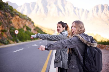 Photo for Highway, nature and friends hitchhiking, backpack and women together for trip in Cape Town. Adventure, adult and girl with female person for holiday on road for with sign or thumbs up for travel. - Royalty Free Image