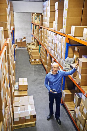 Photo for Tablet, portrait or top view of man in warehouse for delivery boxes, storage or stock in factory for website. Printing, manager or supply chain inspection for cargo, package or wholesale shipping. - Royalty Free Image