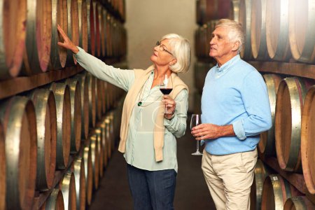 Photo for Elderly couple, cellar and glass for wine tasting, retirement and france holiday together. Mature man, woman and romance with winery date, vacation and alcohol drink for anniversary and happiness. - Royalty Free Image
