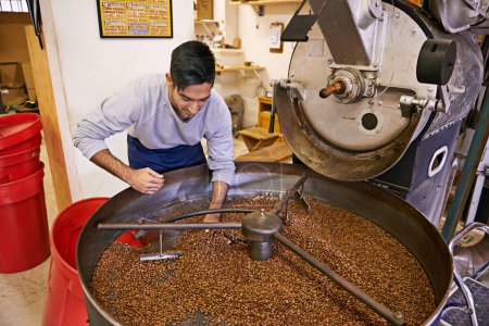 Café, contrôle de la qualité et homme avec machine de torréfaction avec mélange, production et petite entreprise. Entrepreneur, barista ou personne avec des haricots au café, démarrage durable et processus d'espresso.