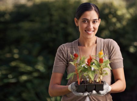 Téléchargez les photos : Femme, horticulture et portrait de jardinage avec des plantes à fleurs en pépinière pour la culture, la botanique et l'aménagement paysager. Environnement, sourire et visage de la femme heureuse pour la durabilité et la croissance - en image libre de droit