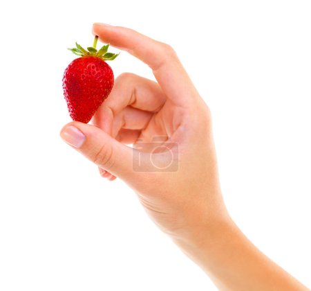 Photo for Hands, strawberry and healthy food for diet, wellness and weight loss with ingredient isolated on white background. Person with fruit, sweet or sour with nutrition, red berries for detox and vegan. - Royalty Free Image