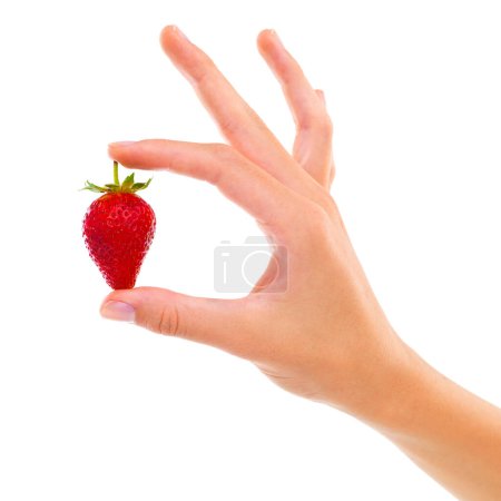 Photo for Hand, strawberry and healthy food for nutrition, wellness and weight loss with ingredient isolated on white background. Person with fruit, sweet or sour with diet, red berries for detox and vegan. - Royalty Free Image