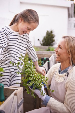Photo for Smile, mother and child in garden with plant, laughing or family bonding together outdoor in summer. Happy mom, girl and agriculture at backyard with vegetables or growth of organic food for learning. - Royalty Free Image
