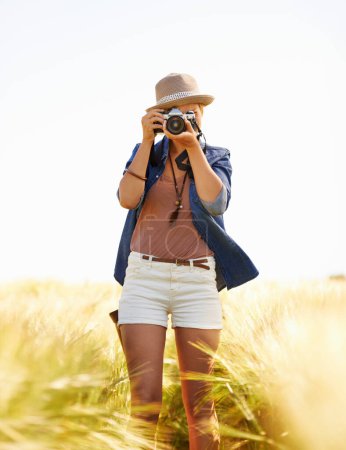 Photo for Field, photographer and woman with camera, sunshine and nature with spring, environment and travel. Person, outdoor and girl with equipment, summer and freelancer shooting creative shots with picture. - Royalty Free Image