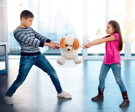 Photo for Children, fight or pulling toy in anger, problem or frustrated with youth at home in living room. Young, argument or conflict in house, apartment or bedroom with kids for child development or growth. - Royalty Free Image