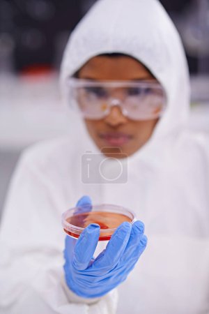 Foto de Ciencia, laboratorio y científico con muestra en placa de Petri para investigación médica, análisis y desarrollo de vacunas. Cuidado de la salud, farmacéutico y persona con vial para medicina, experimento y estudio. - Imagen libre de derechos