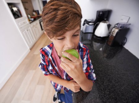 Photo for Face, kitchen and boy biting apple in home as diet, health or nutrition for child development closeup. Food, kids and snack with young teen eating green fruit in apartment for hunger or growth. - Royalty Free Image