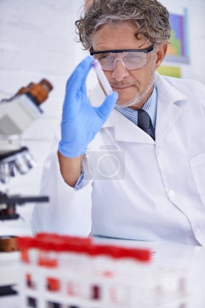 Photo for Scientist, blood and test tube in laboratory, healthcare facility and chemistry for medical research. Male person, science expert and doctor with results for analysis, dna and forensic study. - Royalty Free Image