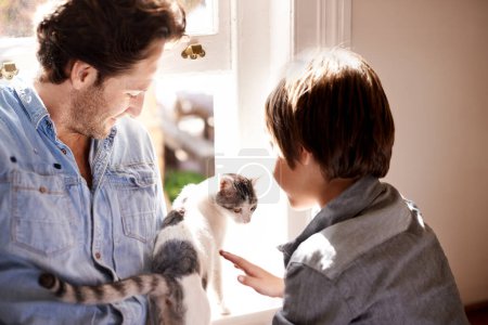 Photo for Pet, cat or father with child in home, house or apartment together for support, care or love by window. England, brush or dad bonding with kid, boy or kitten on a family vacation, holiday or relax. - Royalty Free Image