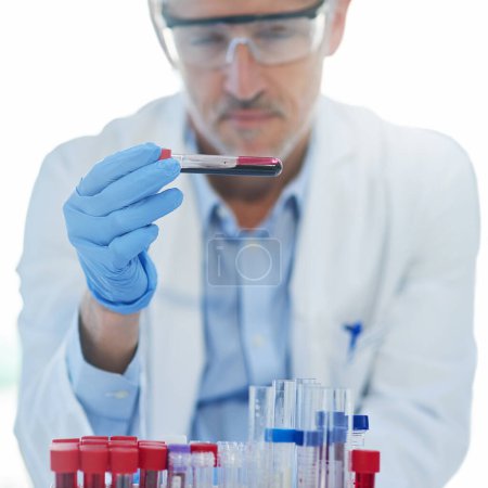 Photo for Science, blood test and mature man with test tube for biotech engineering, pathology and hematology research. Laboratory, investigation and scientist checking sample for development for medical study. - Royalty Free Image