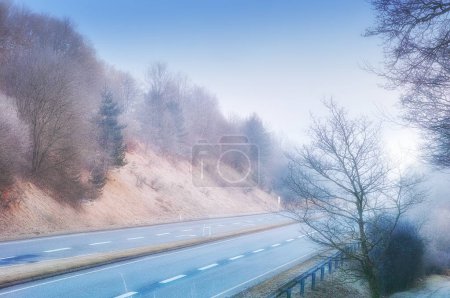 Photo for Highway, road trip and natural landscape for travel, holiday and winter trees in countryside. Nature, forest and street for journey, vacation or outdoor adventure with peace, relax and wilderness - Royalty Free Image