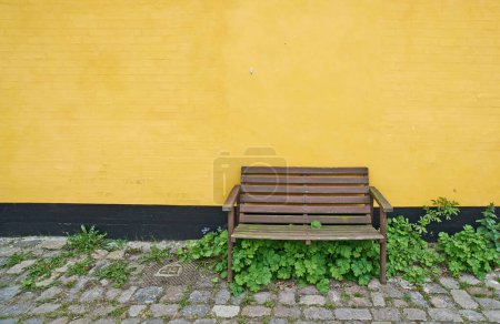 Photo for Wooden wall, bench and outdoor with plants, structure and furniture with mockup space. Outside, chair and stones with texture and design with summer and building with light and growth with street. - Royalty Free Image