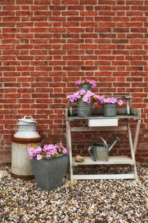 Photo for Spring, nature and garden with flower pot on shelf by brick wall, countryside and rural for plants. House, backyard and environment for growth, still life and container with rust and watering can. - Royalty Free Image