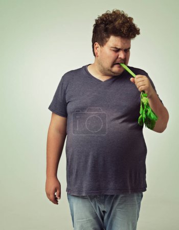 Photo for Plus size, diet and disgusted man eating vegetable for health, nutrition and wellness in studio in white background. Weight loss, celery and unhappy male person for healthy food, wellbeing and detox. - Royalty Free Image