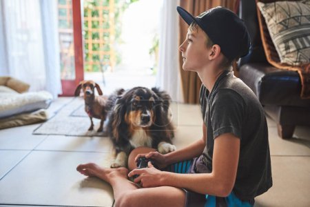 Photo for Kid, relax and video games on television in home with dogs on vacation or holiday in summer. Family, house and child playing online rpg battle or watch competition in esports with pets in living room. - Royalty Free Image