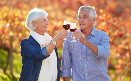 Téléchargez les photos : Joyeux couple de personnes âgées et verres à toasts pour déguster du vin, partager une boisson ou des souvenirs ensemble sur le vignoble. Romantique, homme à la retraite et femme excitée visite de la ferme pour la célébration, la date ou l'amour. - en image libre de droit