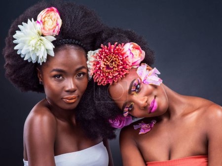 Photo for Portrait, makeup and black women with flower in studio for organic cosmetics, makeover or skin glow on dark background. Beauty, afro and models with carnation for wellness, aesthetic or lipstick. - Royalty Free Image