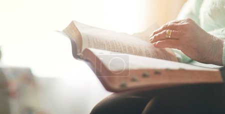 Photo for Elderly woman, hand and bible with reading for worship, testament and spiritual healing at home. God, support and senior person with religious book in house for scripture, faith and Christian wisdom. - Royalty Free Image