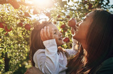 Photo for Happy, mom and child with apple from tree on farm, orchard or relax in garden with nature on vacation. Growth, mother and daughter with fruit from sustainable agriculture, environment or healthy food. - Royalty Free Image