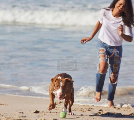 Foto de Playa, mujer y perro corriendo con pelota para un ejercicio divertido, energía saludable o animal feliz en la naturaleza. Océano, juegos y pitbull juguetón con entrenamiento al aire libre, fitness para mascotas y bienestar con juego matutino. - Imagen libre de derechos
