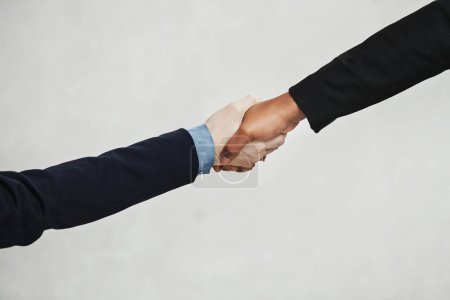 Foto de Studio, handshake and business people with agreement for teamwork, partnership and networking. B2b, deal and professional workers with thank you, welcome or support in cooperation by white background. - Imagen libre de derechos