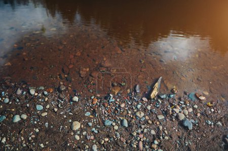 Photo for River bank, water and pebble stones in nature, shoreline and gravel with colourful rocks or sediment in soil. Murky lake, ecosystem and outside ecology for tranquility, landscape and calm stream. - Royalty Free Image